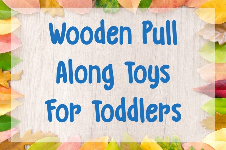 Wooden Pull Along Toys For Toddlers